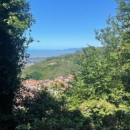 Casale Rosy Versilia * Vitoio